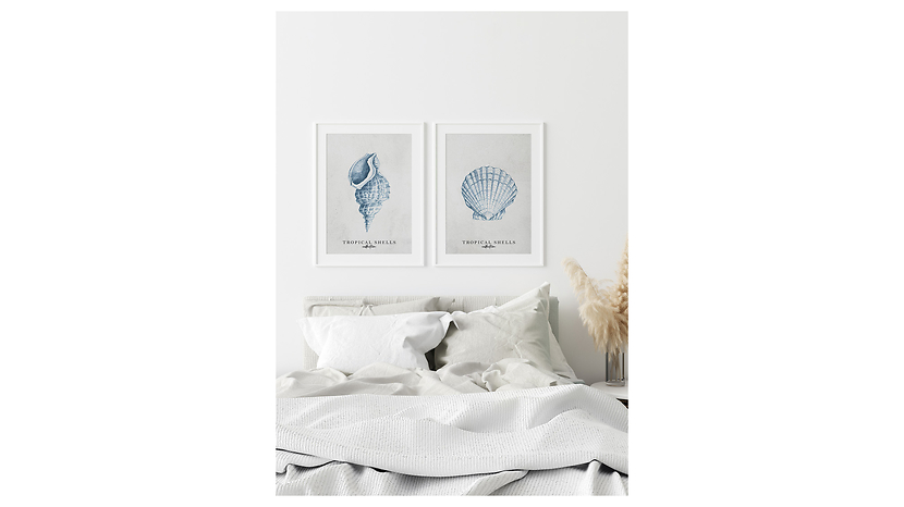 Obraz w ramie Tropical Shells Collection No. 1 53x73 cm
