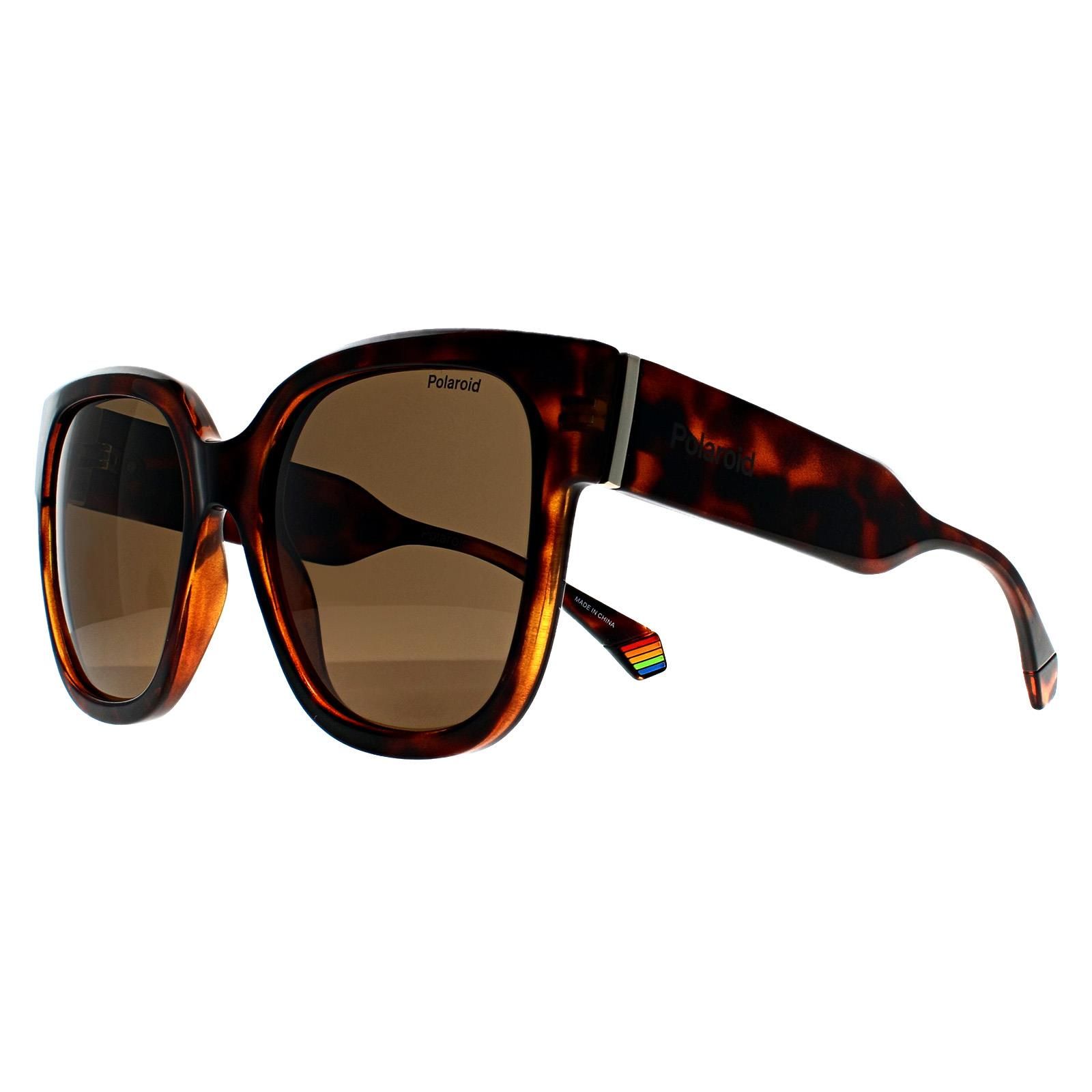 Polaroid Square Havana Bronze Polarized PLD 6167/S