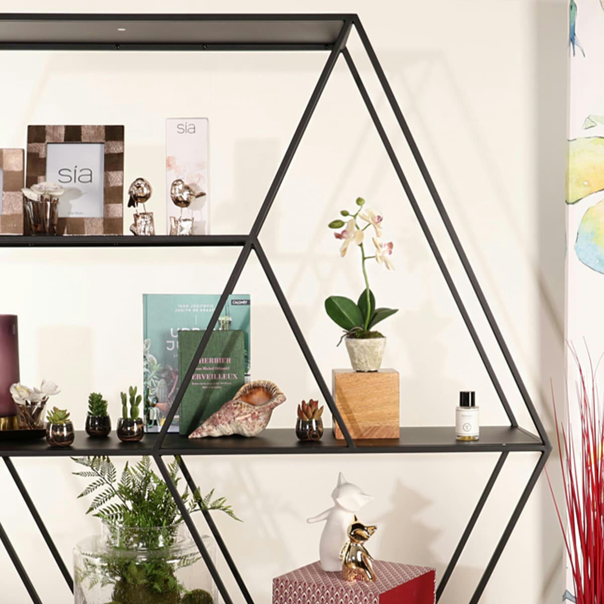 - Orchidée dendrobium en pot H35