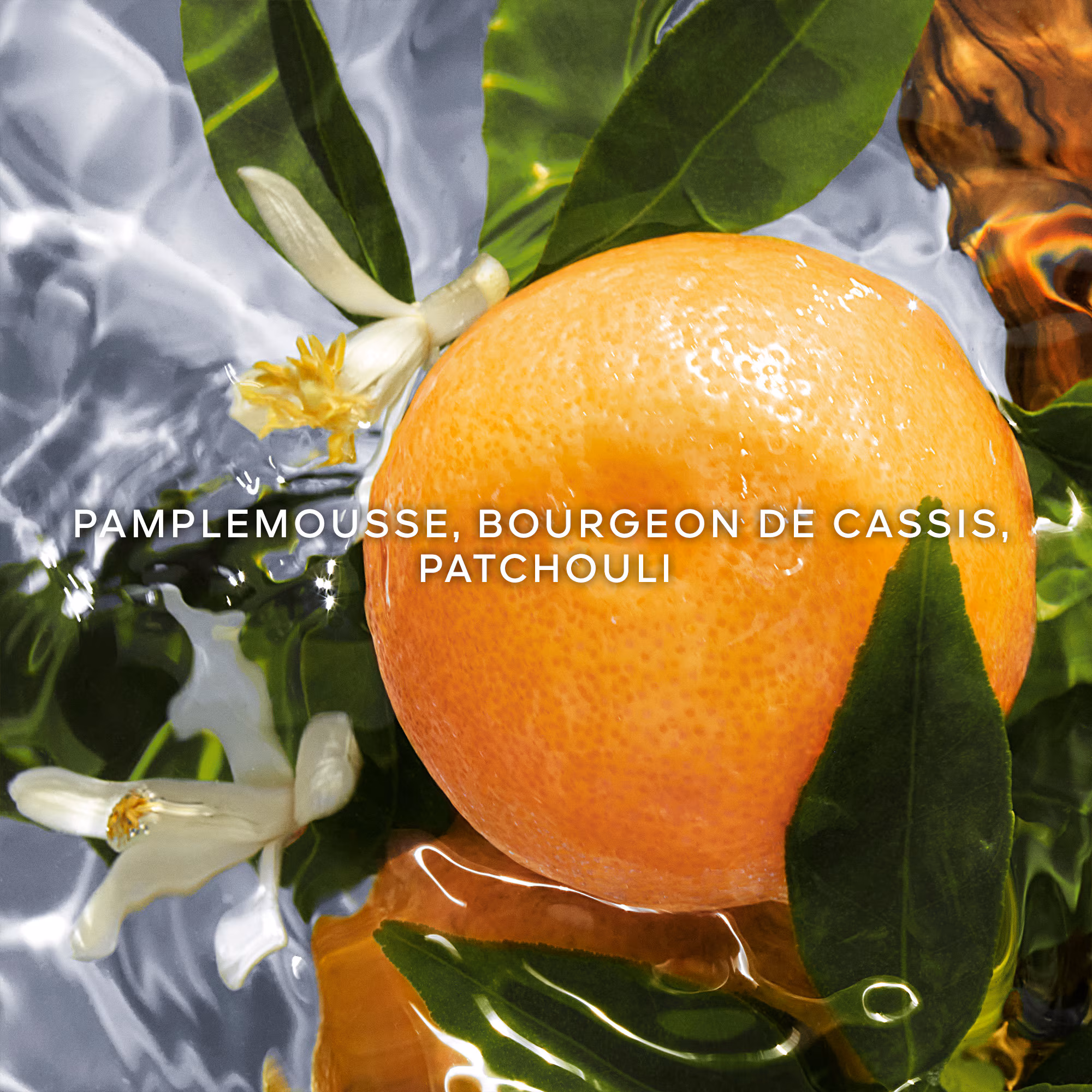 AQUA ALLEGORIAPamplelune - recharge
