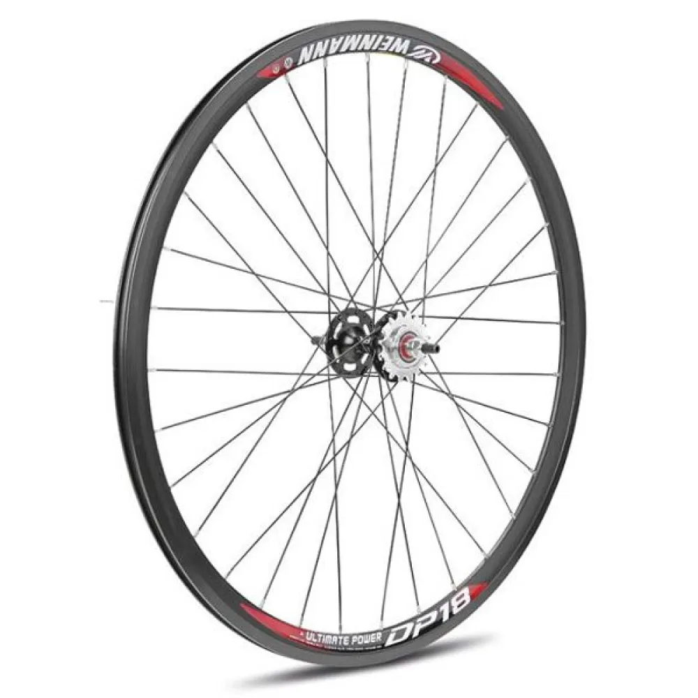 Gurpil Fixed DP-18 Balls Disc Tubular rear wheel