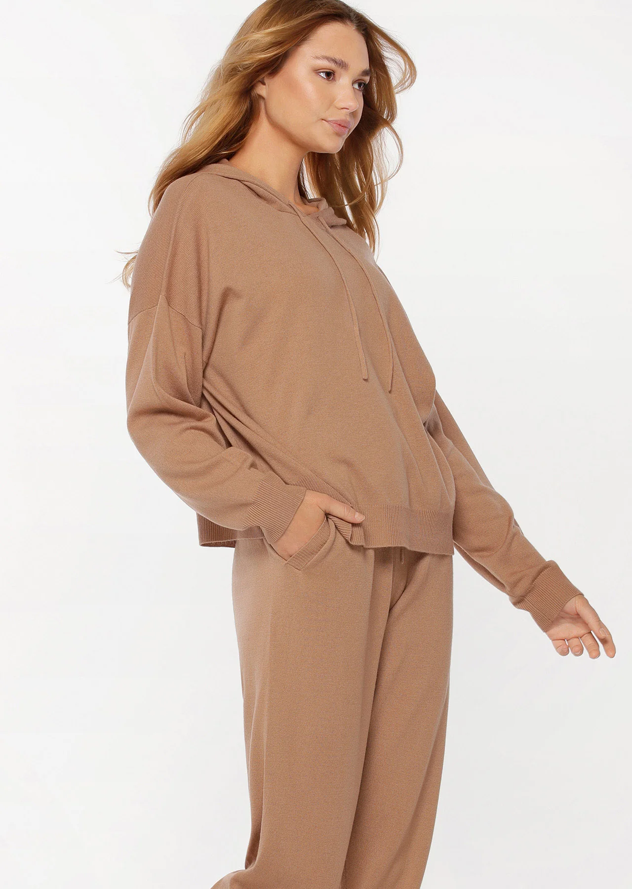 Wellness Wool Hoodie