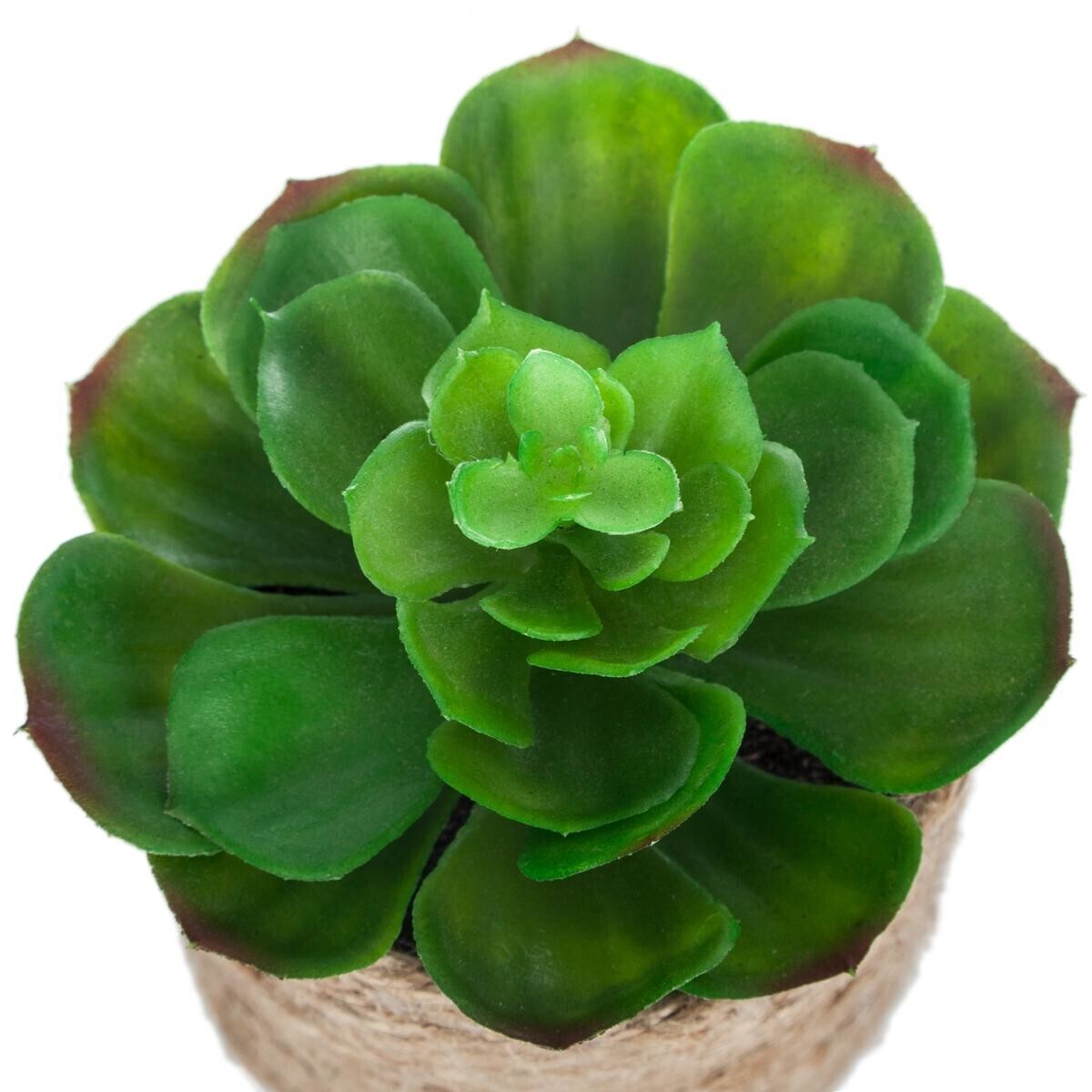 Artificial plant H.16 cm