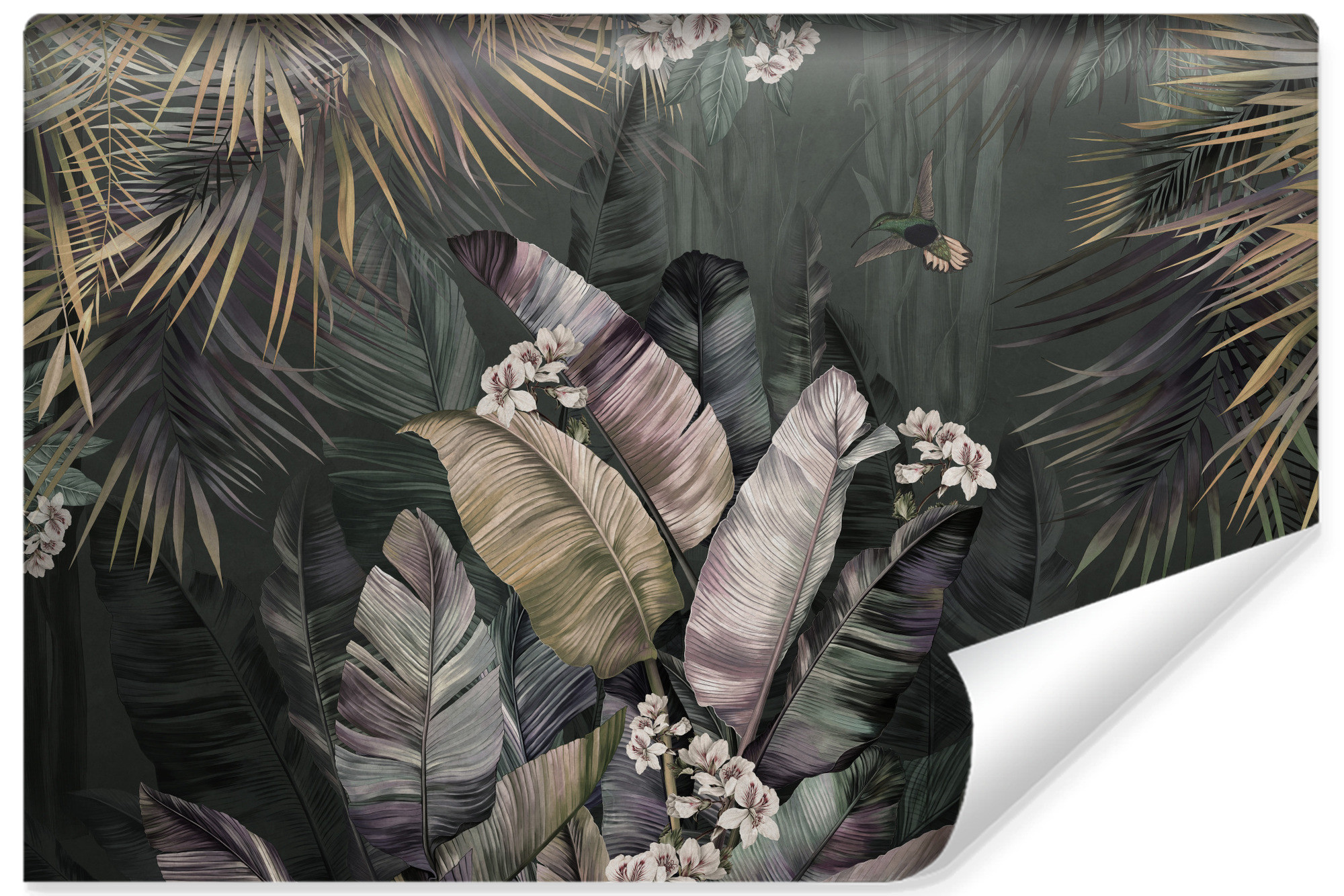 Fototapeta Kolorowe Liście Bananowe 90x60cm
