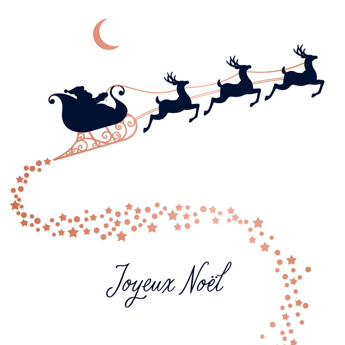 - Carte De Vœux Etincelle Traineau