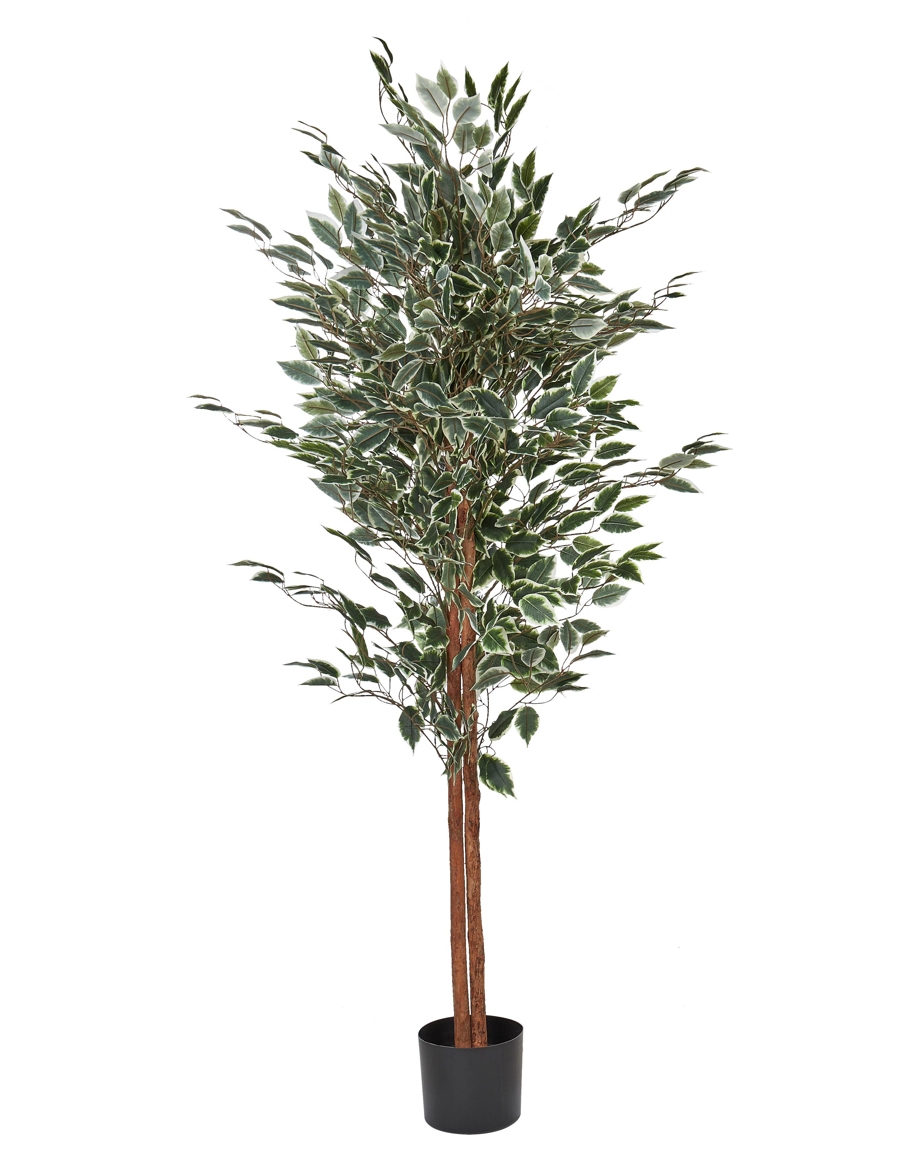 Artificial Plant FICUS 167 cm Green