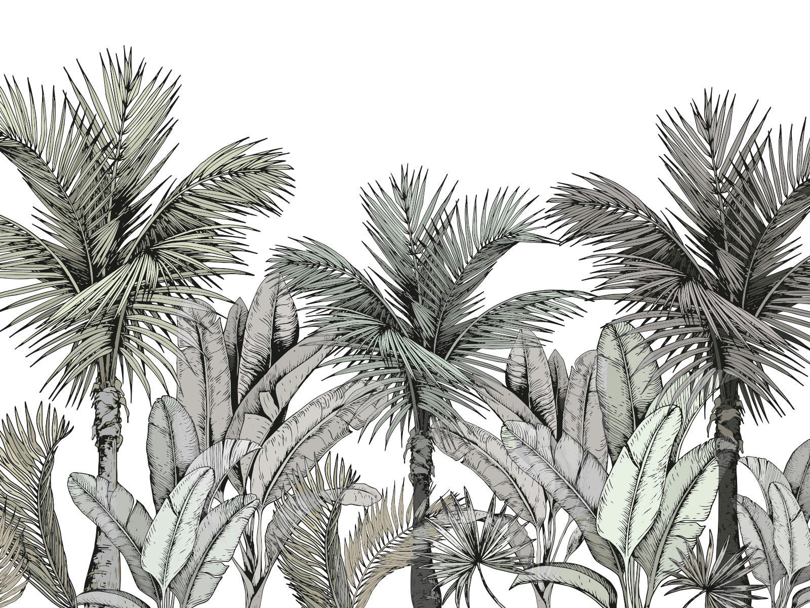 - Papier peint panoramique adhésif esquisse végétale 3m50x2m50