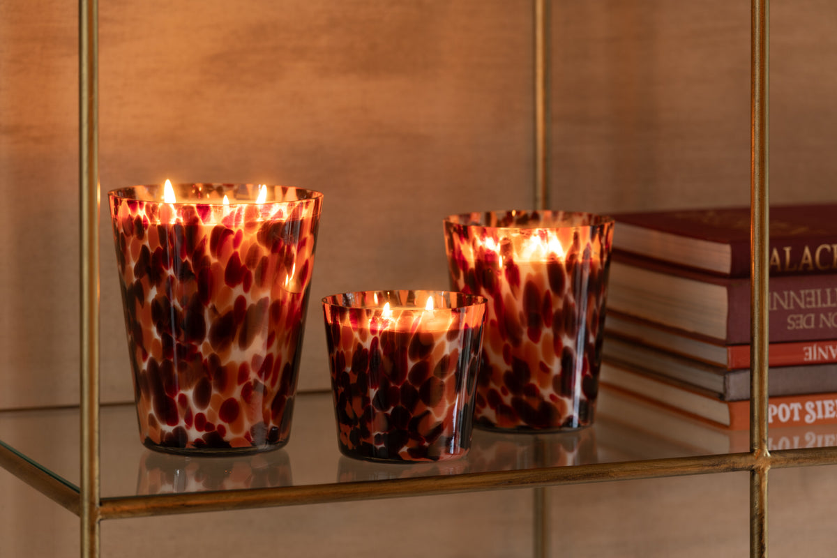 J-Line geurkaars Noa - Magnificent Birch - glas - rood - small - 50U