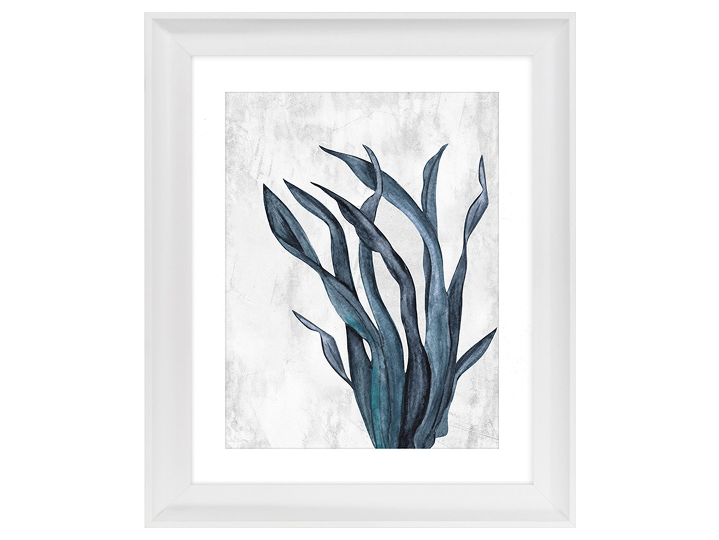 Obraz w ramie Sea Plant No. 1 46x56 cm