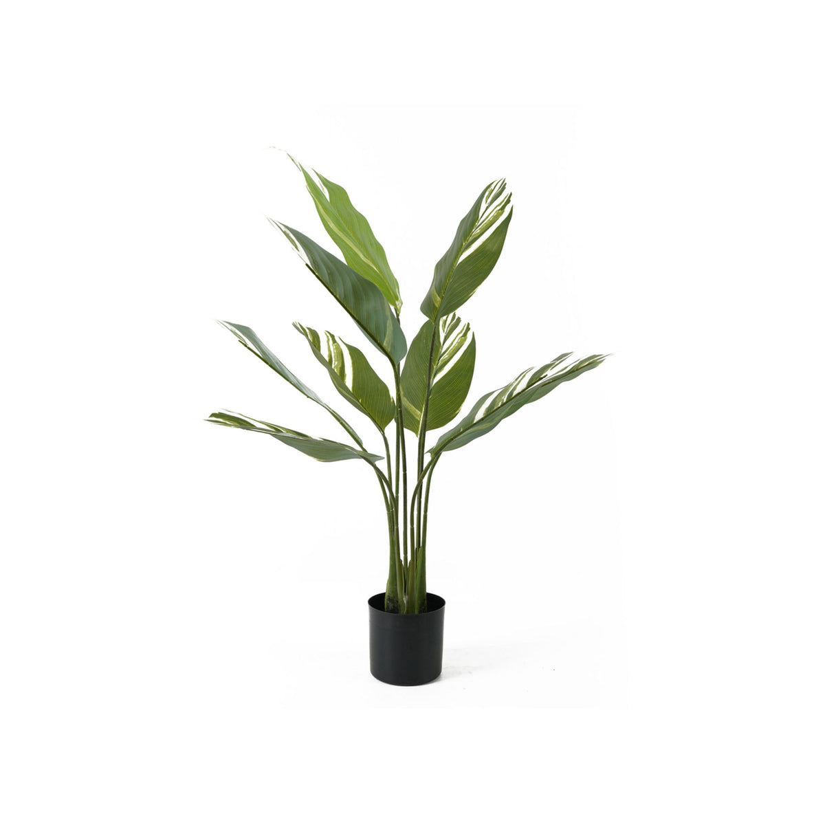 Present Time kunstplant Calathea - groen - 63x63x90cm