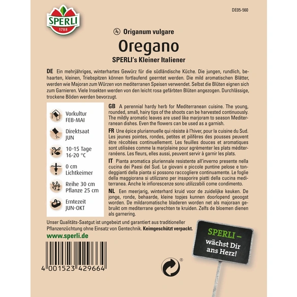 Oregano »SPERLI's Kleiner Italiener«, mehrjährig, mediterraner Kräuterklassiker