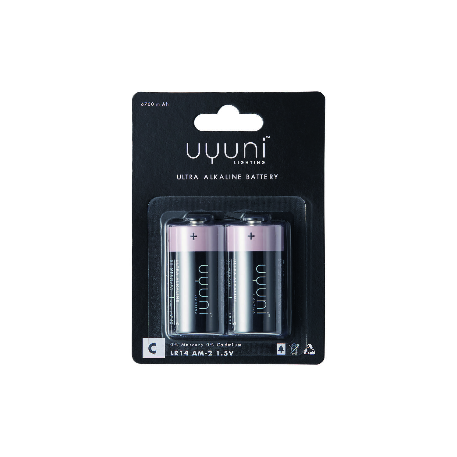 Alkaline Batteries C 2 pcs