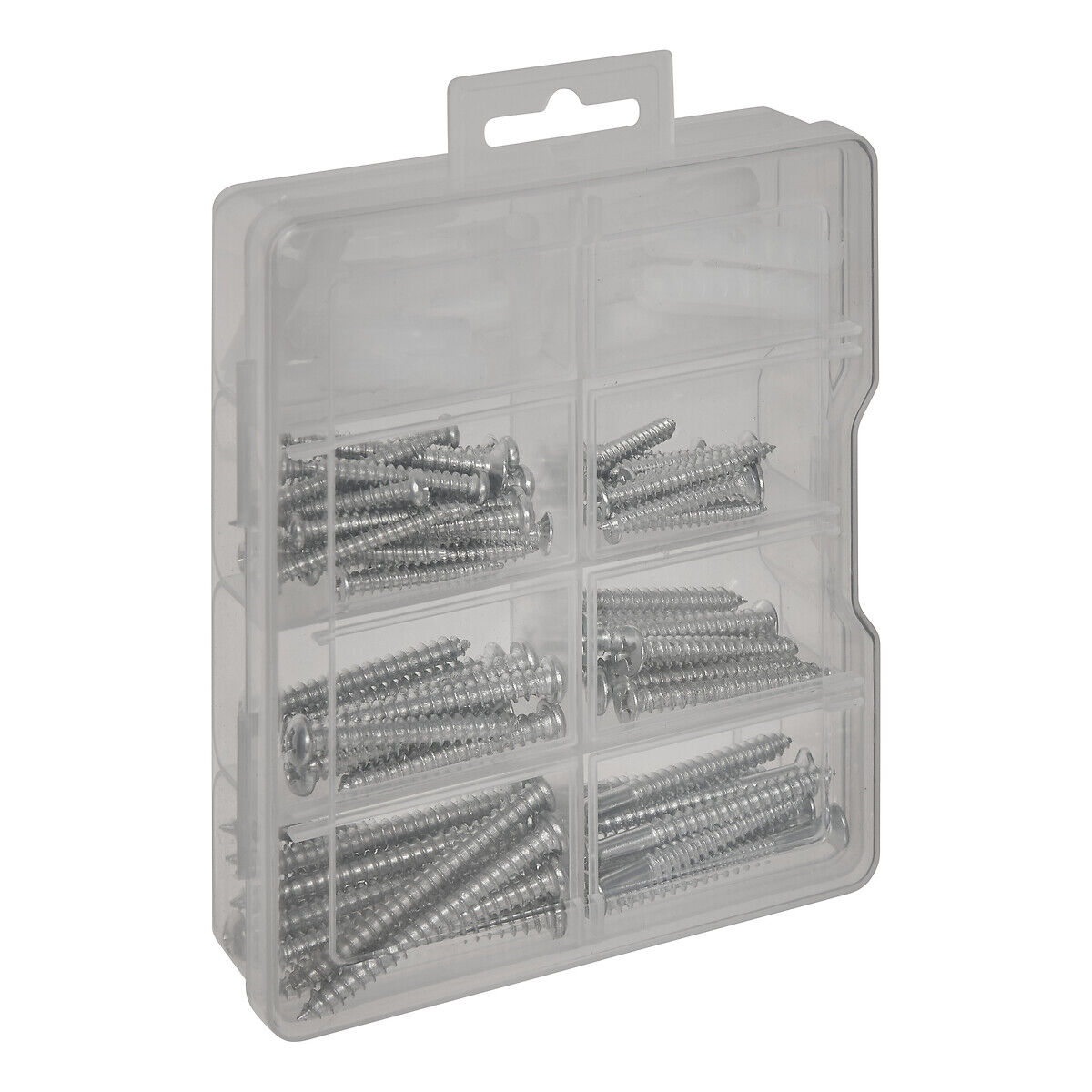 Caixa com 101 Parafusos e Cavilhas Sortidos