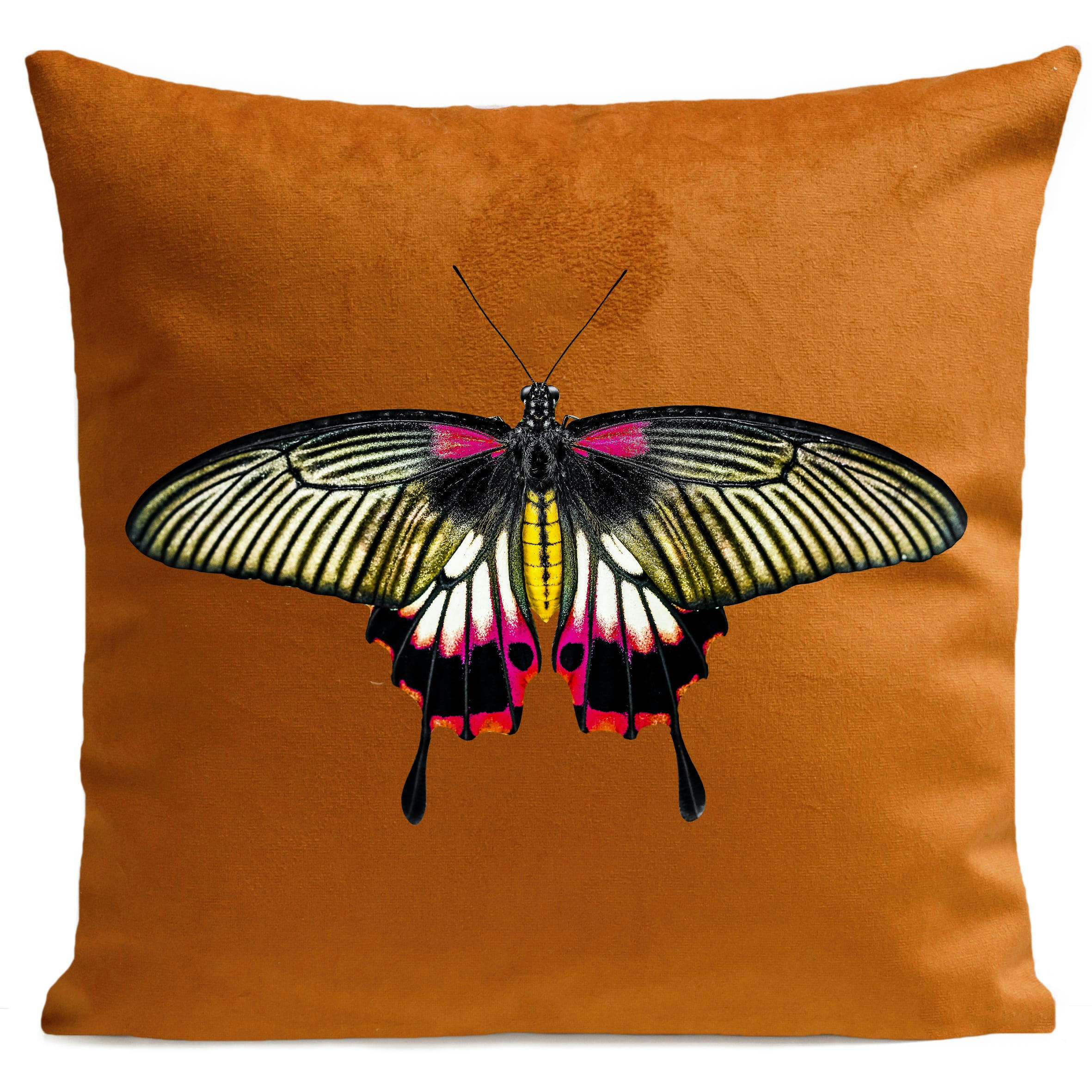 - Coussin papillon insecte suédine orange 40x40cm