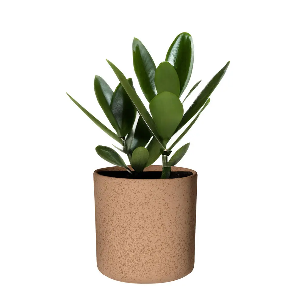 Hakbijl Plantenpot/bloempot Cindy - bruin - keramiek - D17xH17cm