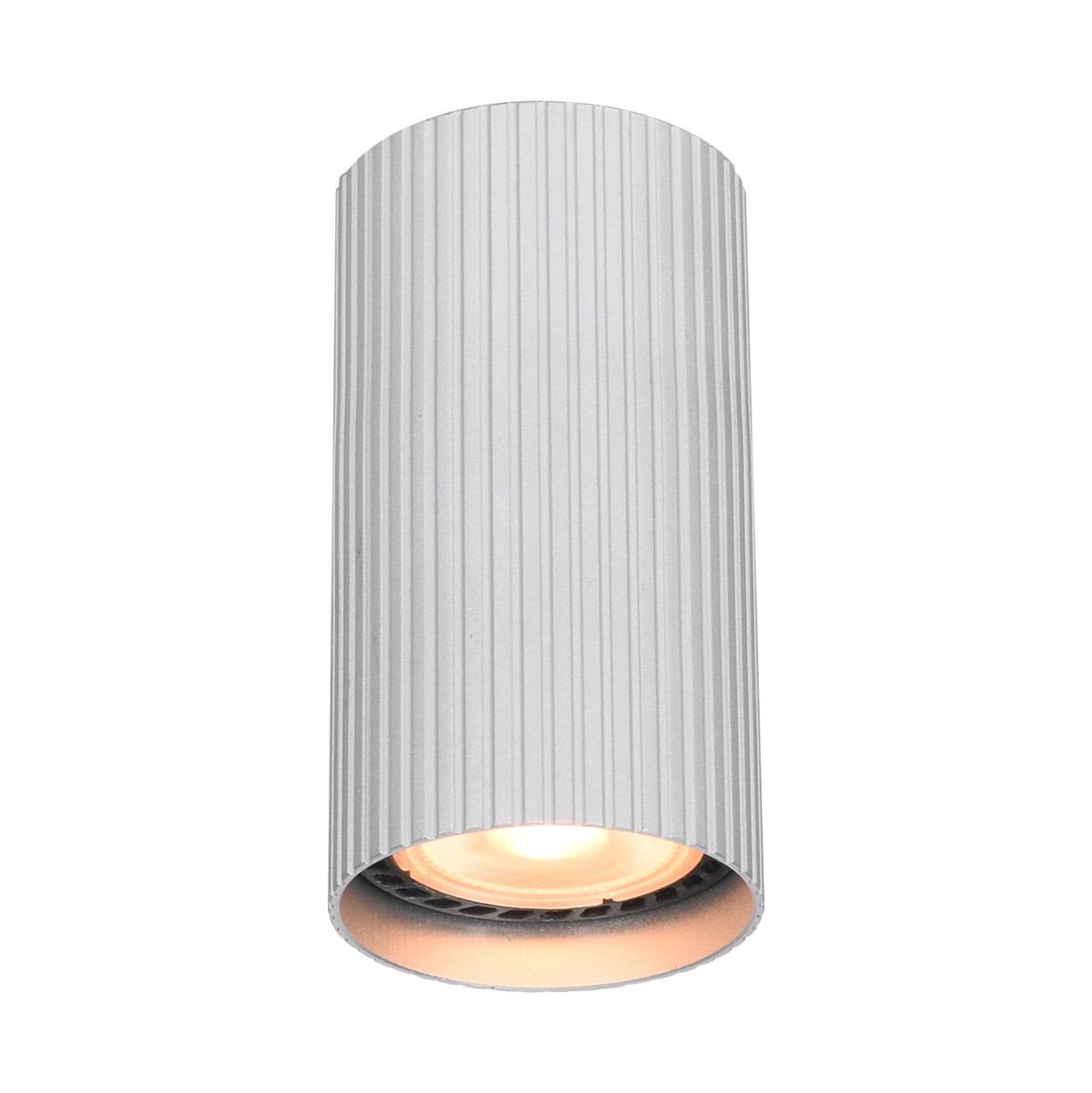 Spot reflektor okrągły aluminiowy RILOK 1xGU10x10W IP20 Italux