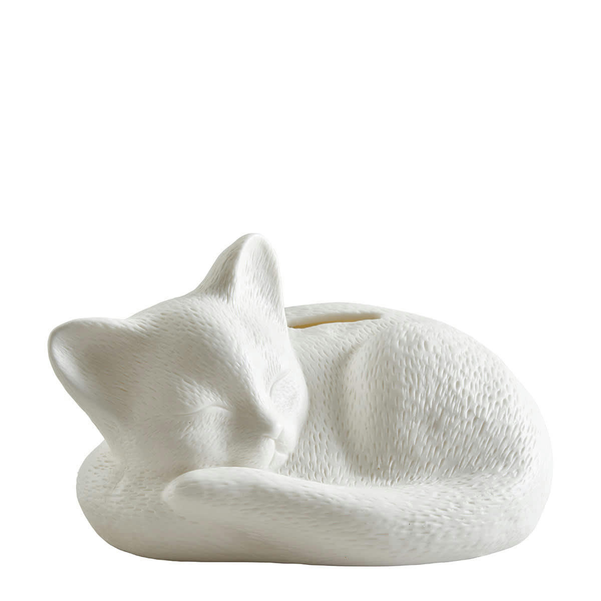 CHAT - Tirelire chat