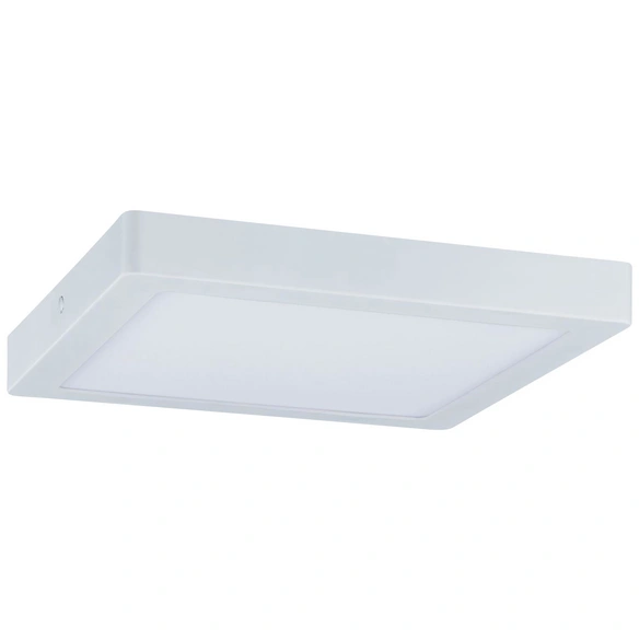 LED-Deckenleuchte »Abia«, inkl. Leuchtmittel in warmweiß