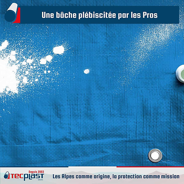 Bâche Peinture 6x10 m - TECPLAST - SR150PE - Bleue et Verte - Haute Qualité - Bâche de protection Peinture pour sol et meuble