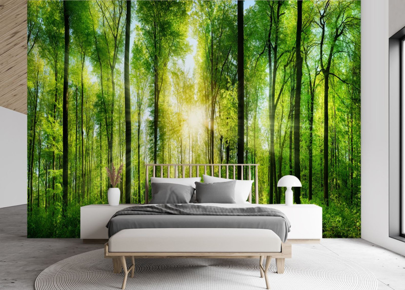 Feeby Fototapeta, Promienie słońca w zielonym lesie 150x105