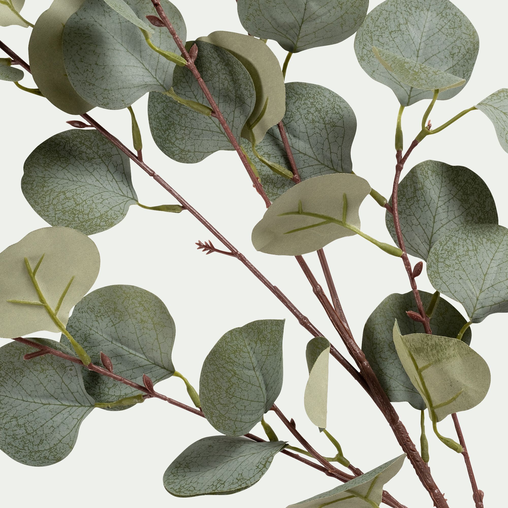 MAUNE - Branche d'eucalyptus artificielle H90cm - vert