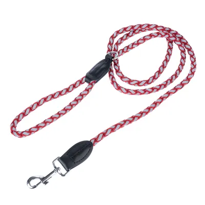 TIAKI Reflective Braided Leash