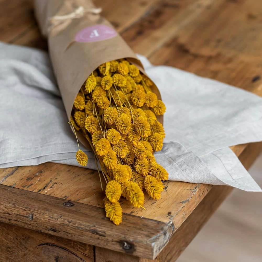 - Botte Phalaris safran