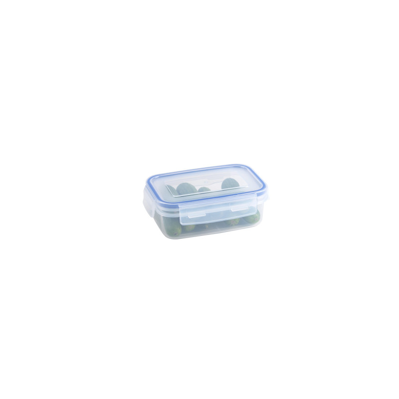 Boîte de conservation Basic 0,45 L SUNWARE