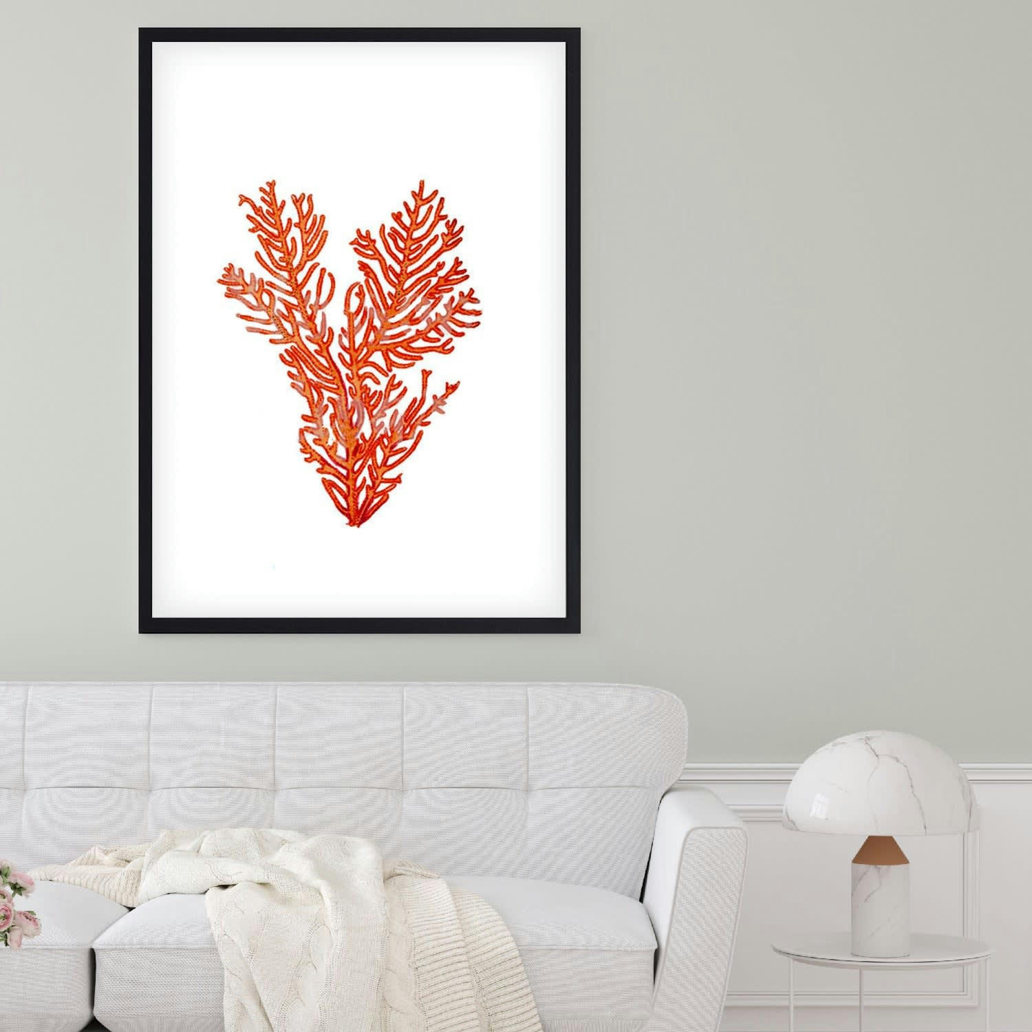CORAL - Affiche avec cadre noir - Corail - 50x70
