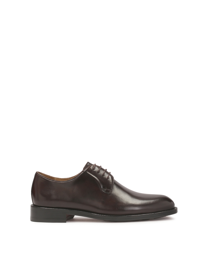 Elegant brown formal shoes from the Limited Edition collection