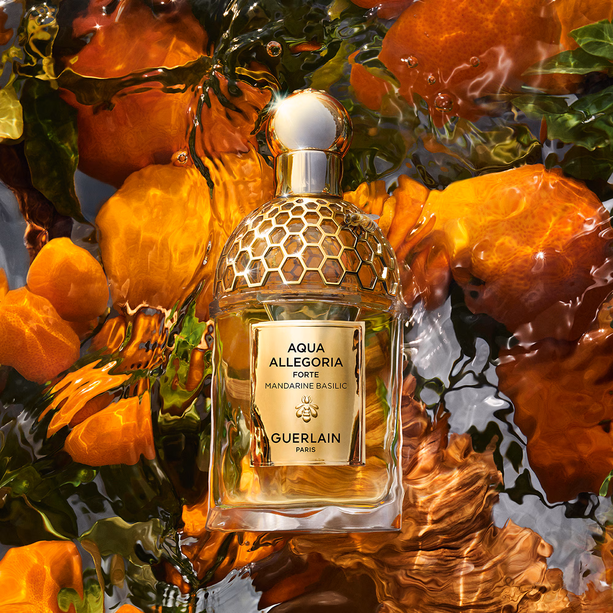AQUA ALLEGORIA FORTEMandarine basilic - eau de parfum rechargeable