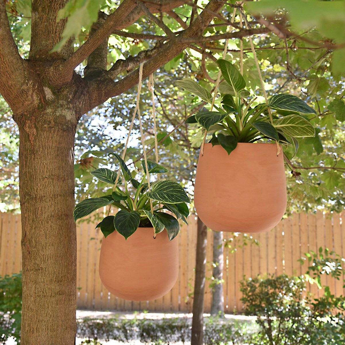 - Lot de 2 pots terre cuite suspendus