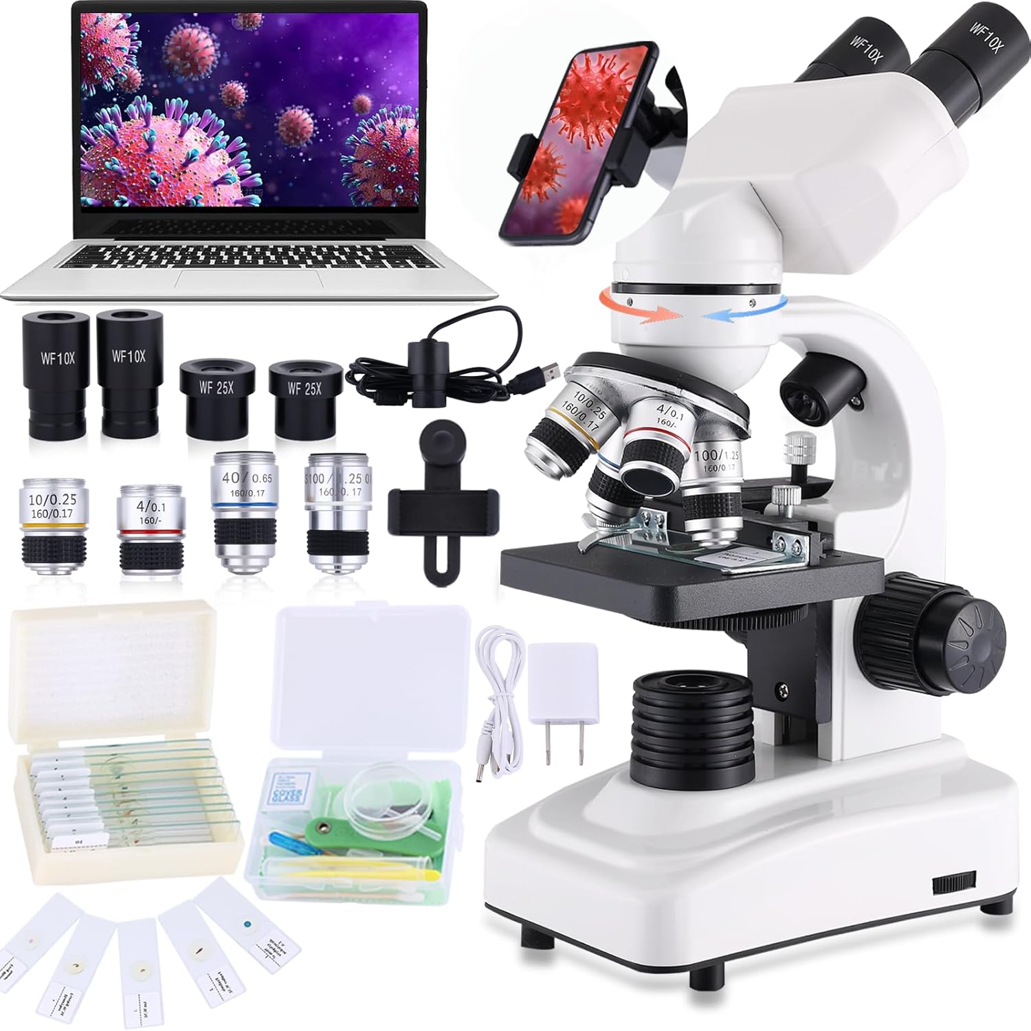 Compound Binocular Microscopes