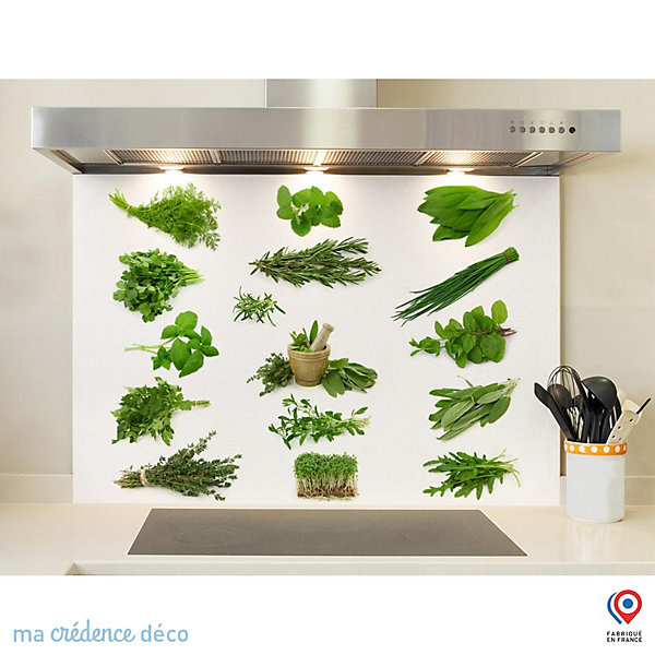 Crédence cuisine fond de hotte Herbier 4 - Verre trempé - L 60 cm x H 45 cm - MaCrédenceDéco
