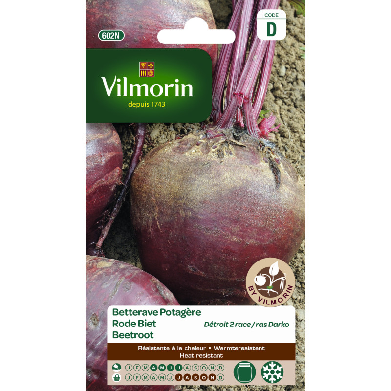 Semences de betterave Rouge Darko VILMORIN