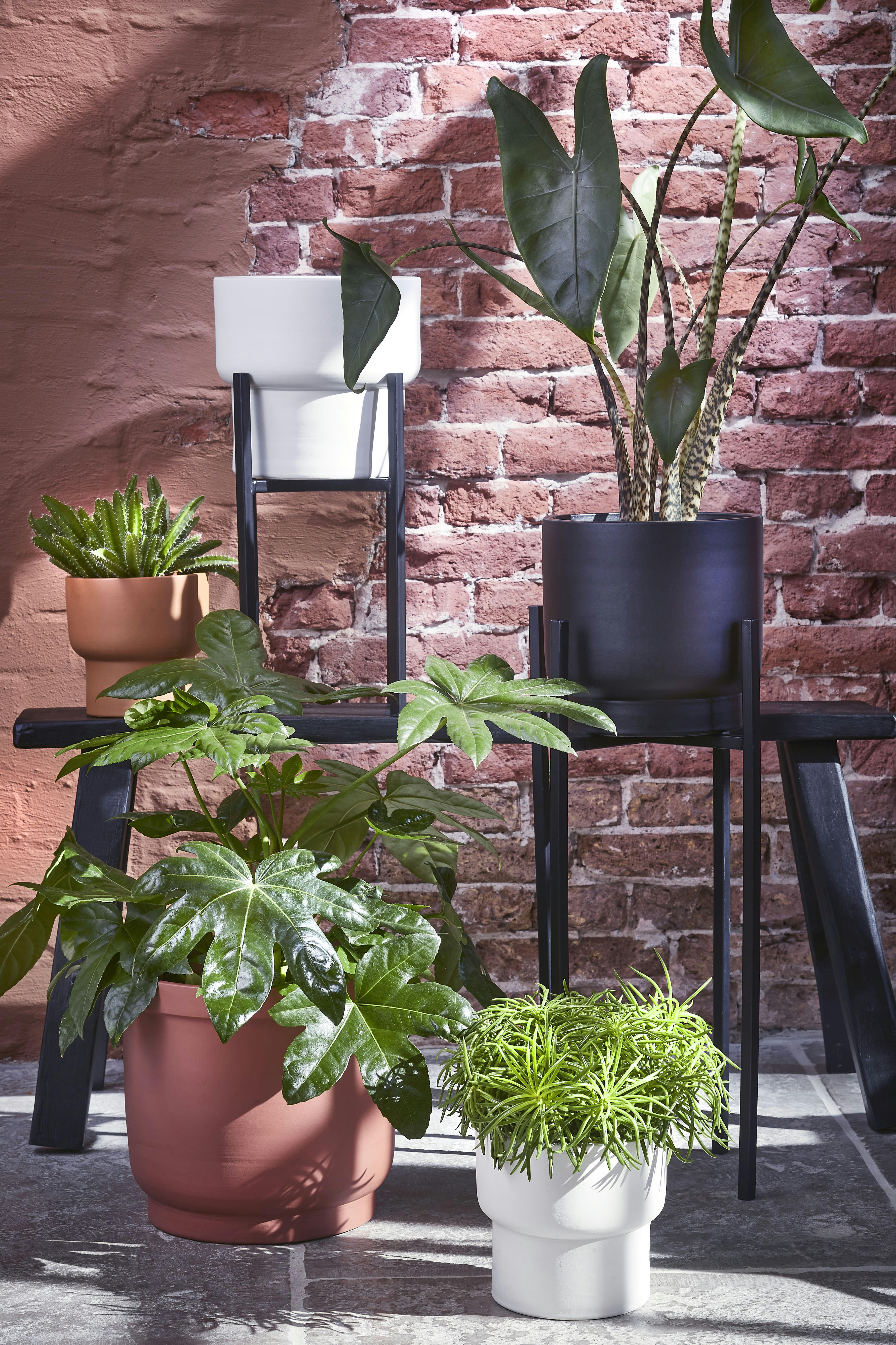 ASCOT - Porte-plante en métal noir H71