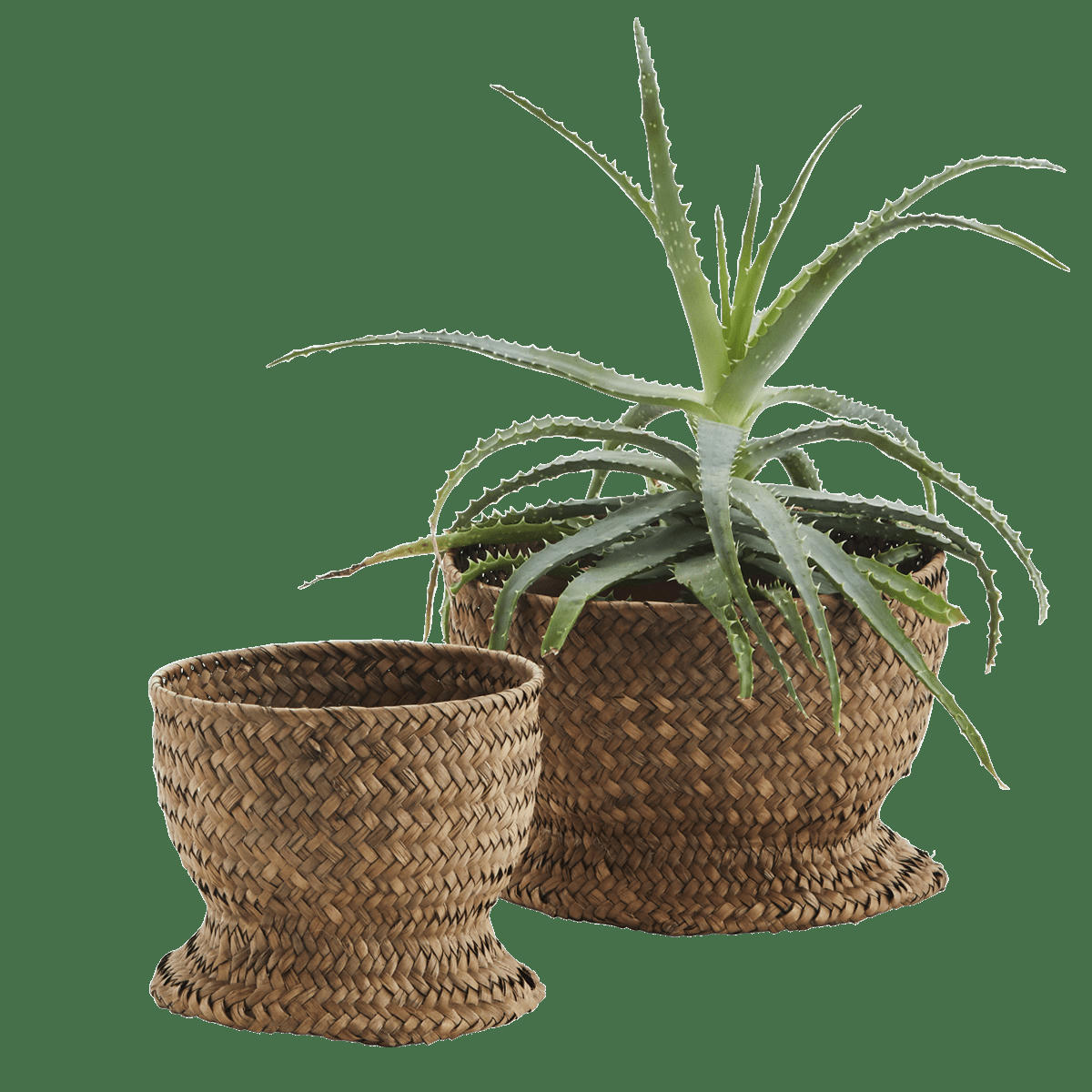 - Paniers à herbe ronds avec support D22cm