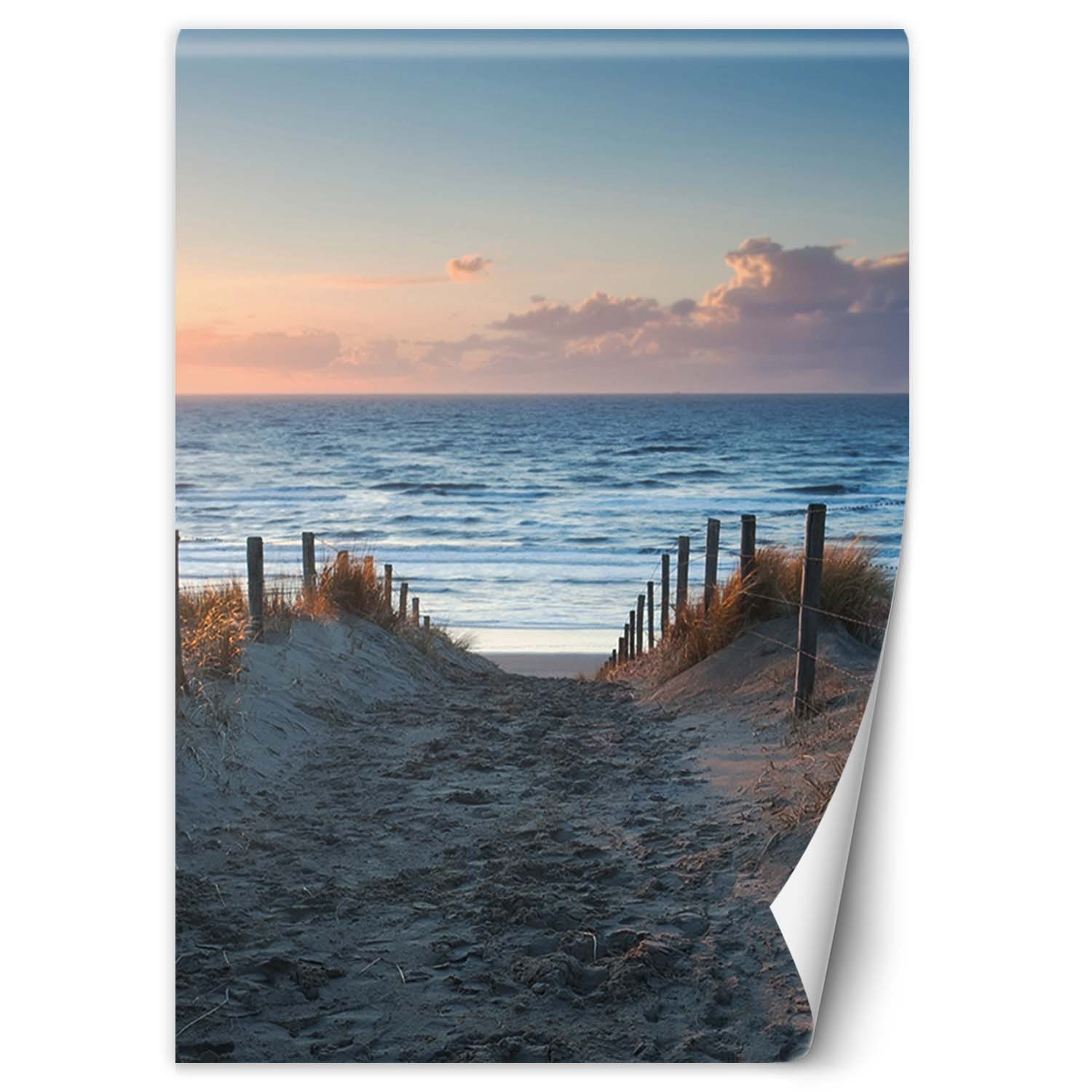Feeby Fototapeta, Zejście na plaże 100x140