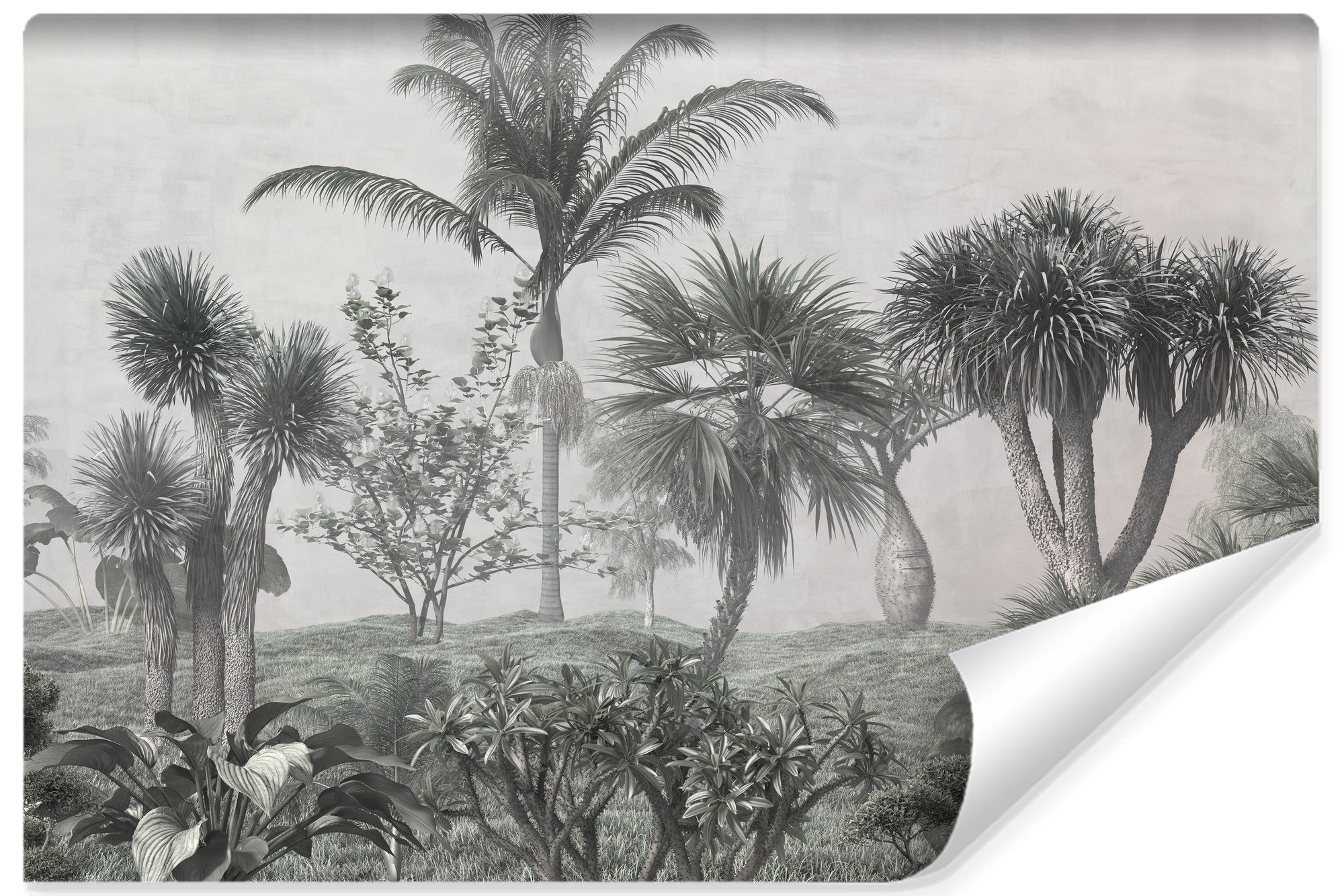 Fototapeta Ścienna Tropikalne DRZEWA Las Natura 90x60cm