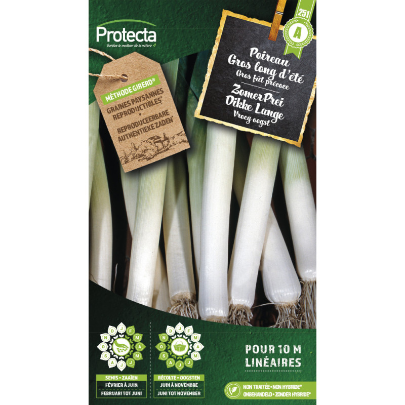 Semences de poireau Gros long d'été PROTECTA