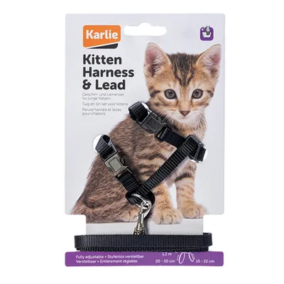 Kitten Harness with Lead