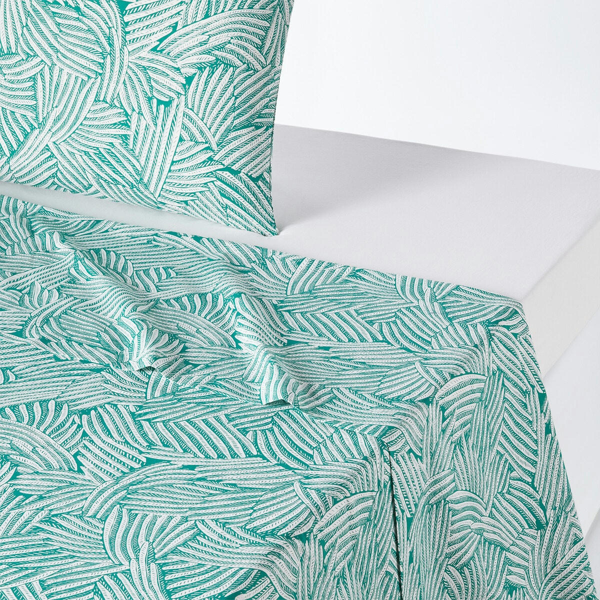 Drap coton, Ycata