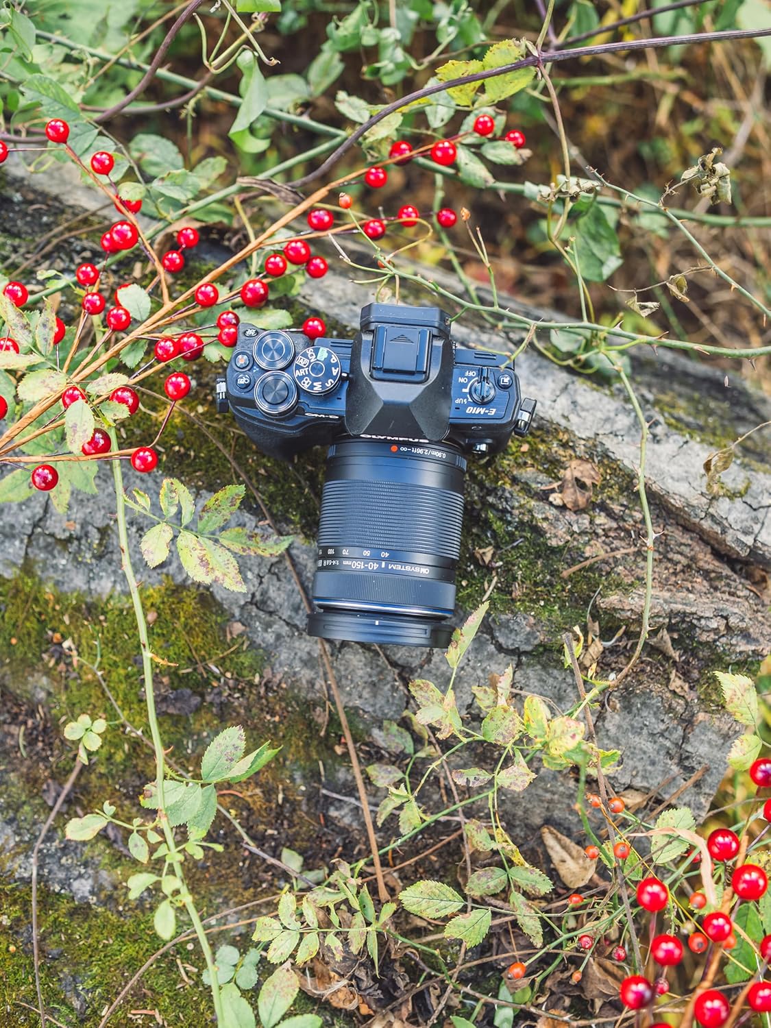 Bundle of OM SYSTEM Olympus E-M10 Mark IV Black Micro Four Thirds System Camera 20MP Sensor 5-Axis Image Stabilization 4K Video Wi-Fi + M.Zuiko Digital 40-150mm F4.0-5.6 R Black  3.75x Zoom Lens