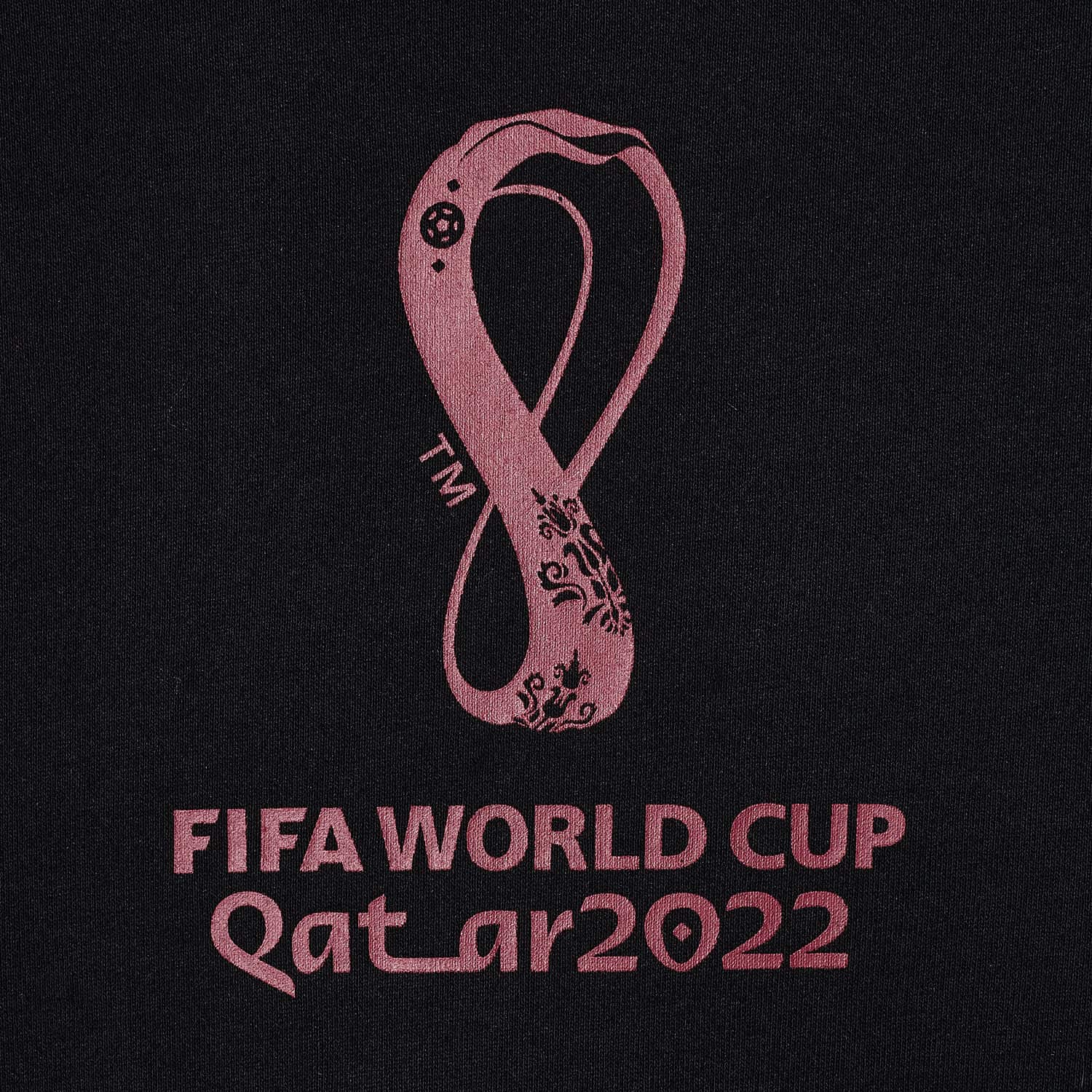 2022 World Cup Logo Black Hoodie - Youth