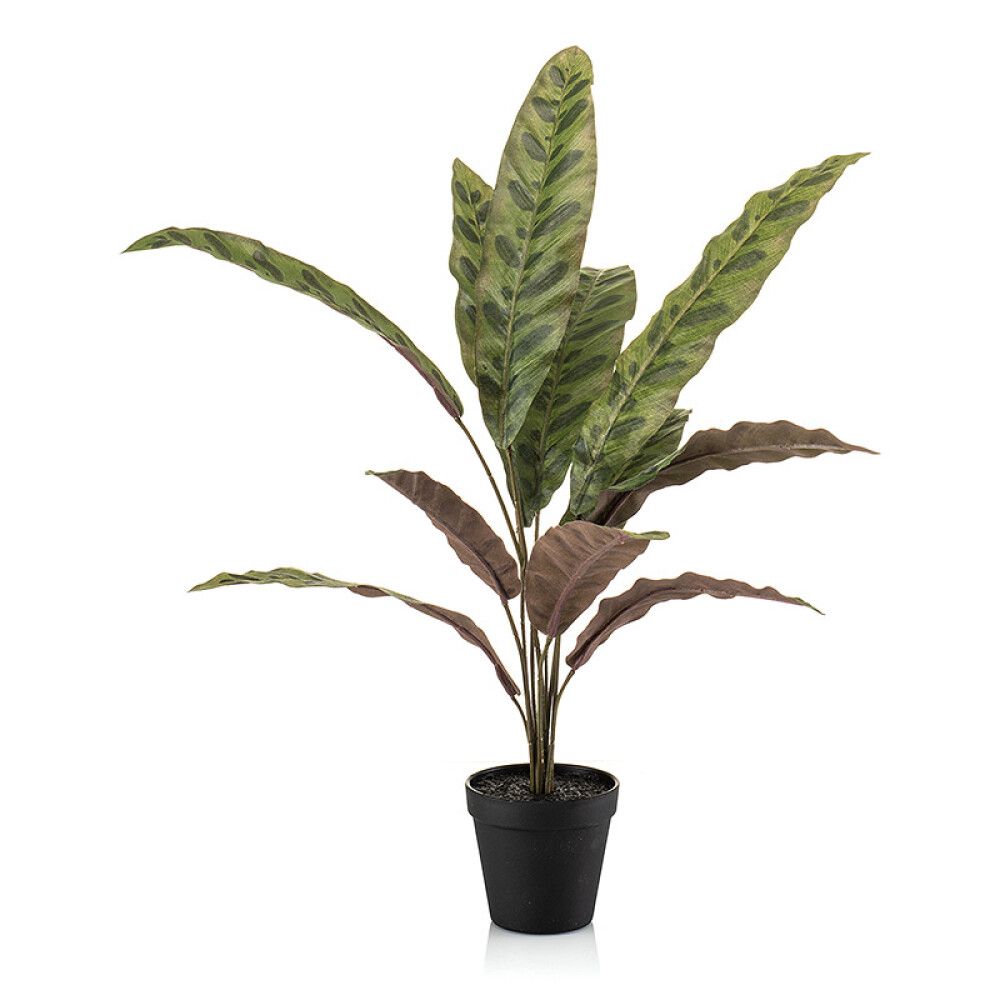 KUNSTIG PLANTE CALATHEA GRØNN/BURGUNDER I POTTE 60CM