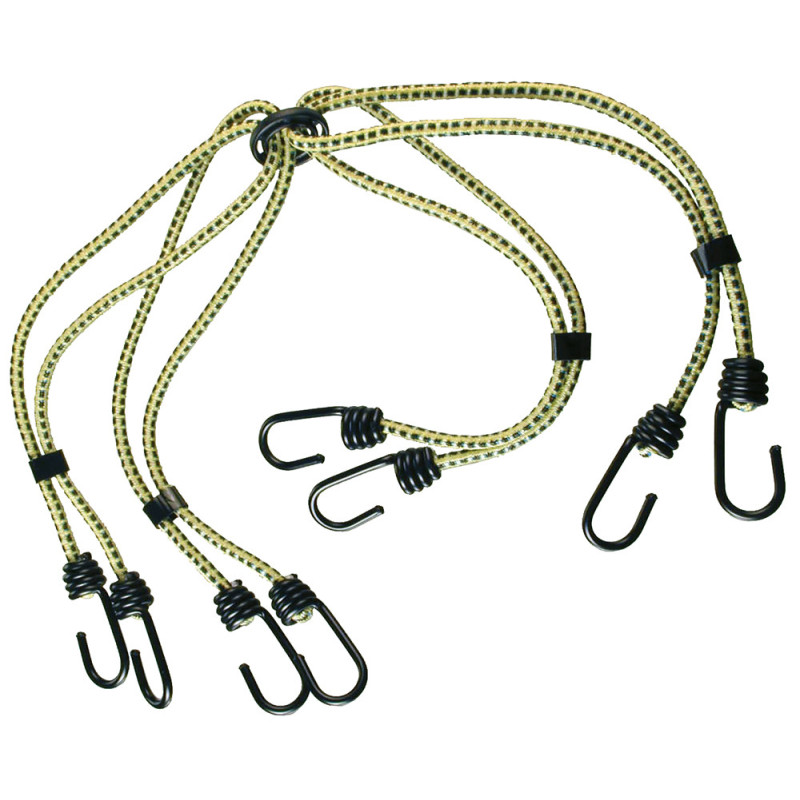 Sandow avec 8 bras Ø 8 mm 75 cm CONNEX