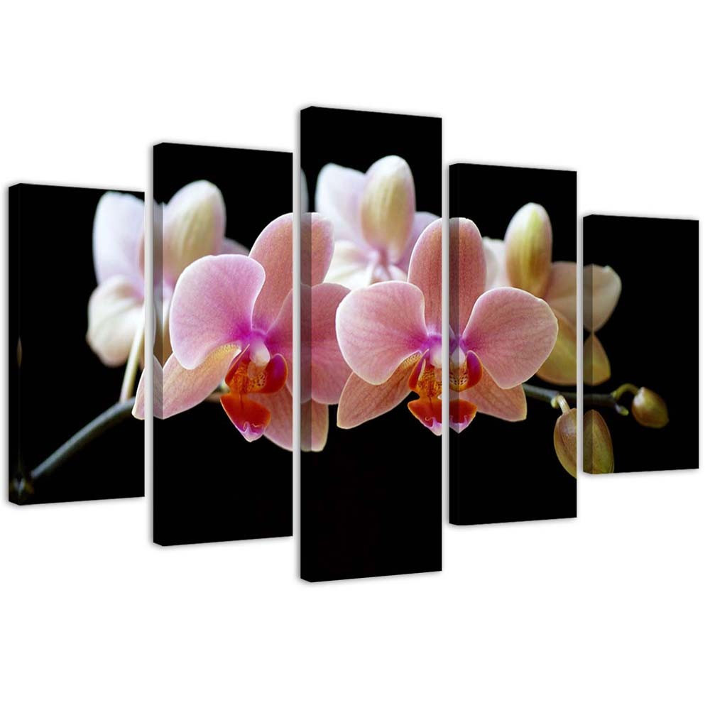 Feeby Obraz 5 częściowy na płótnie Różowa orchidea 100x70