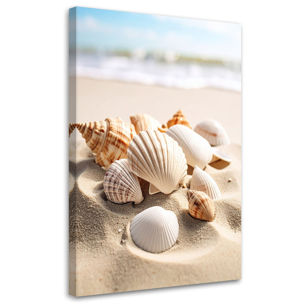Obraz do salonu kuchni biura, Muszle plaża natura beżowy 20x30