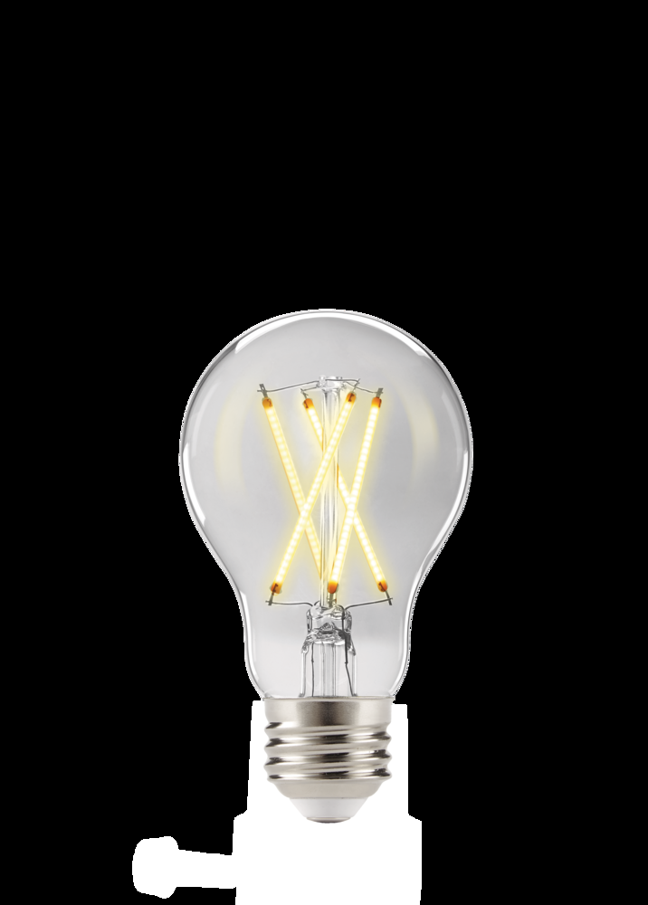 NOMA A19 E26 Base Dimmable LED Filament Light Bulbs, 800 Lumens, Cool White, 60W, 4-pk