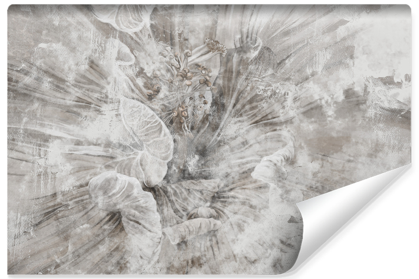 Fototapeta Abstrakcyjny Kwiat Na Betonie 90x60cm